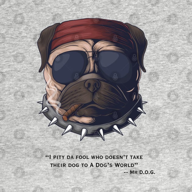 I Pity Da Fool  --Mr. D.O.G. by A Dog's World